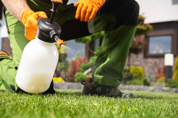 Professional Pest Control in Coudersport, PA
