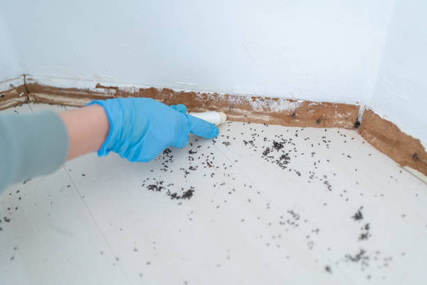 Best Pest Control Near Me  in Coudersport, PA